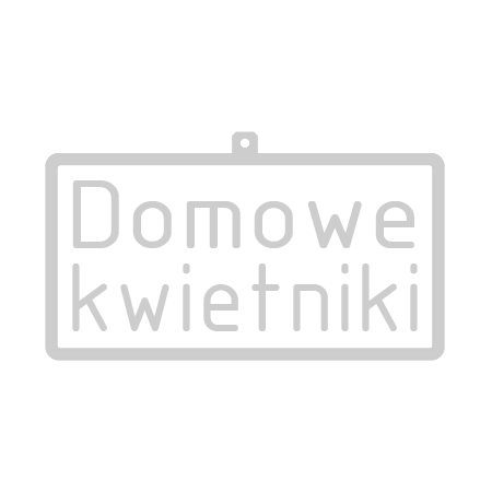 Ważki - klamerki, klipsy do roślin 