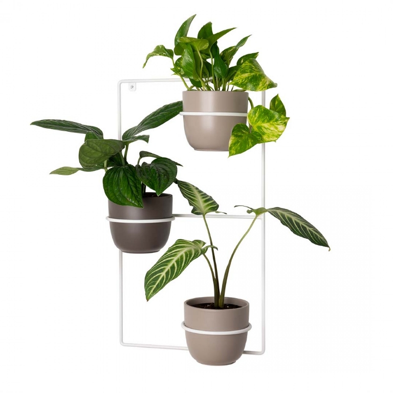 Kwietnik Zebrina biały OUTLET