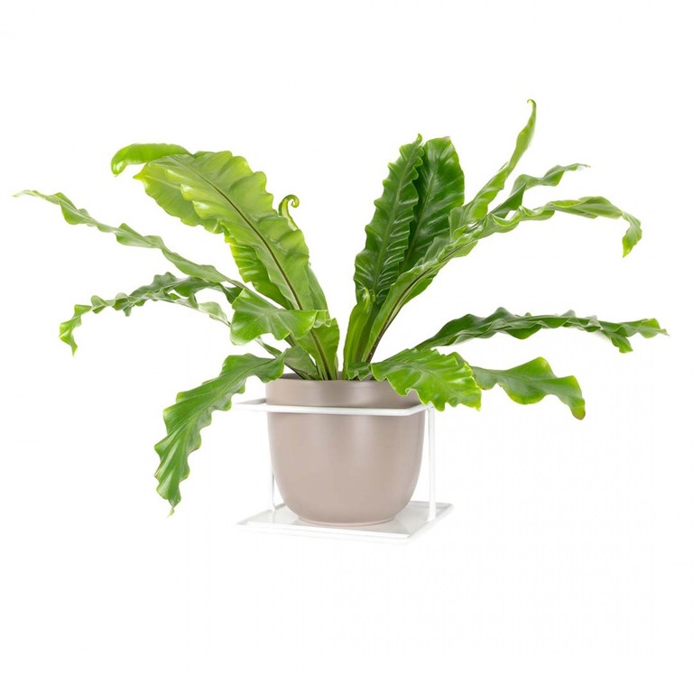 Kwietnik Flora biały OUTLET