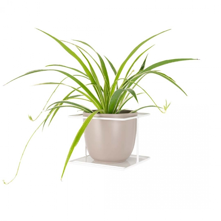 biała półka na kwiaty