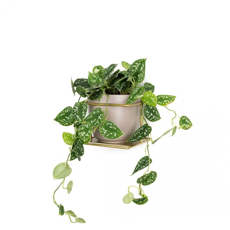Kwietnik Flora OUTLET złoty