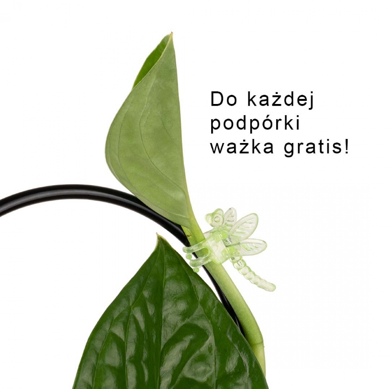wazka zielona klamerka